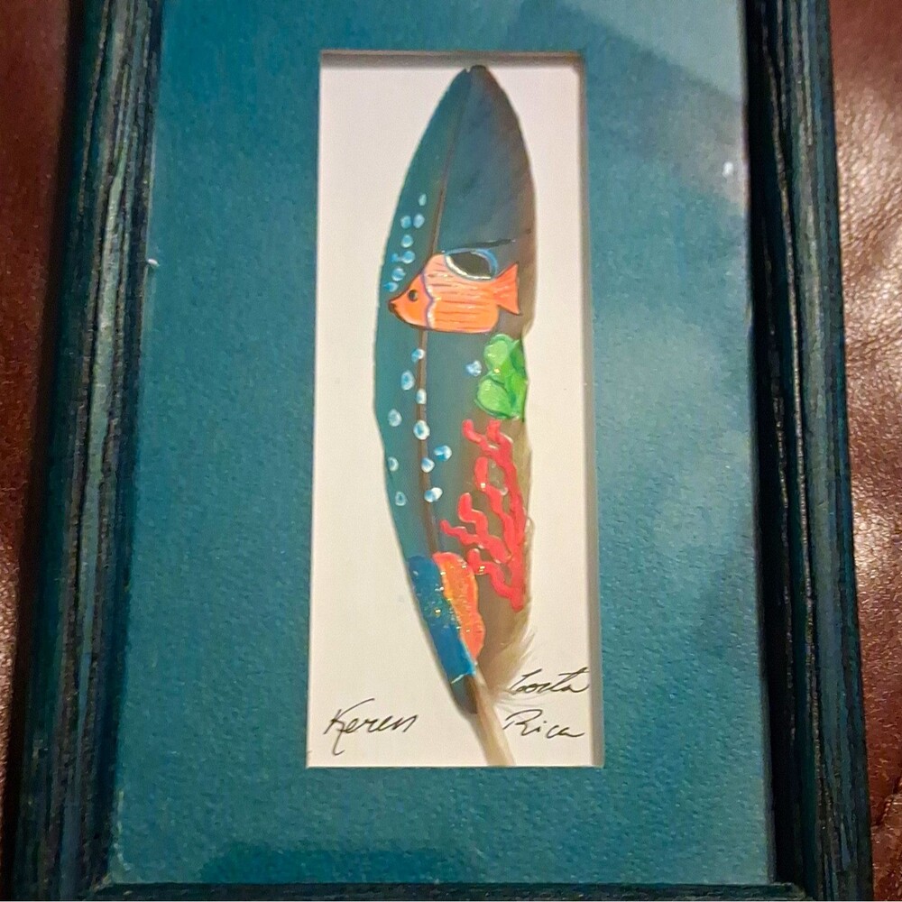 ANA'S ART Hand Painted on Feathers Feather Artwork Framed - Costa Rica by Karen